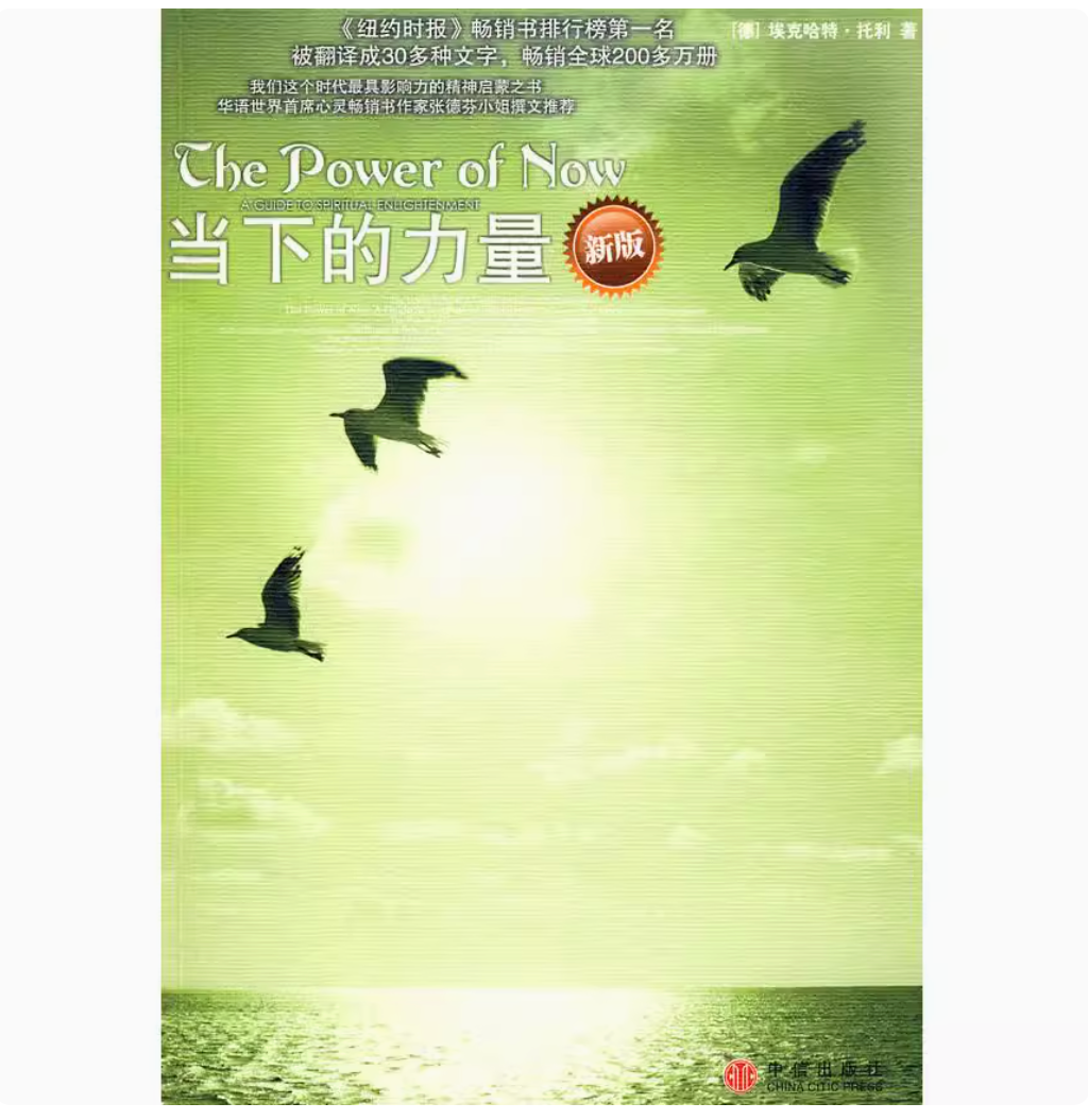 「自说自话的总裁」频道推荐书籍---《当下的力量》(德)托利 曹植 中信出版社