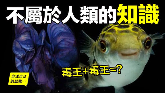 【不屬於人類的知識】1986年，一位高中輟學生用這種【不屬於人類的知識】作案？他的知識從何而來？|自說自話的總裁