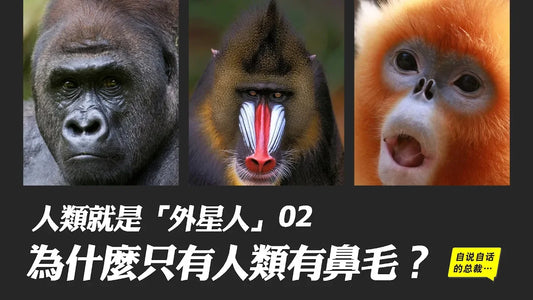 人類就是「外星人」02 | 為什麼只有人類有鼻毛？|自說自話的總裁