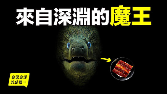 原來，你吃的每一條鰻魚，都見過海底深淵的秘密……|自說自話的總裁