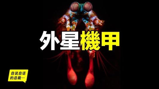 皮皮蝦：全身黑科技、4億年不進化，它簡直是一隻外星機甲……|自說自話的總裁