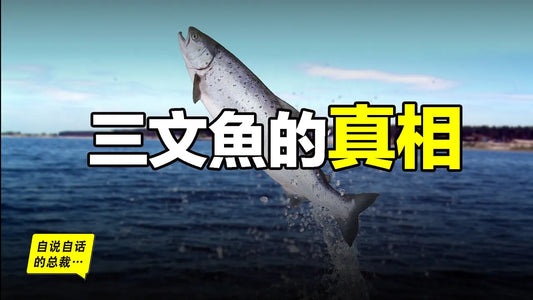 三文魚：真假三文魚？寄生蟲？長白山水怪？黃海冷水團？原來你是這樣的魚……|自說自話的總裁