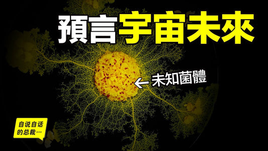 未知菌體：預言宇宙未來，為什麼這個單細胞生物擁有智慧，結構像大腦和宇宙一樣，當真是高維宇宙的投影？|自說自話的總裁