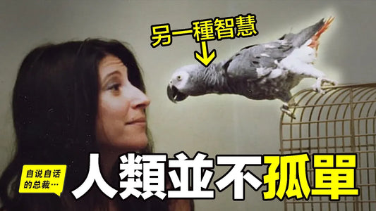 人類並不孤單：科學家發現身邊正隱藏著一個平行文明……|自說自話的總裁