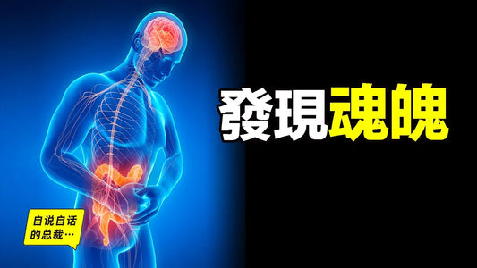 最新醫學發現，竟是道家魂魄學說，人體「第二大腦」的五個驚奇……|自說自話的總裁  自说自话的总裁 210万位订阅者  加入   分享