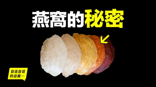 徒手登上百米懸崖，發現燕窝的秘密：原來，燕子与燕窩，这背后竟然有两段，难以置信的生物真相与商業秘密……|自說自話的總裁