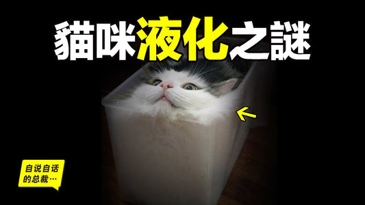 液體貓咪之謎：為什麼說貓都是液體？這竟然是一個被證明過的科學結論……|自說自話的總裁