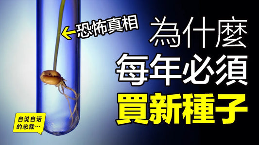 明明春天可以種，但為什麼農民每年都必須買新種子？這背後的真相很恐怖……|自說自話的總裁