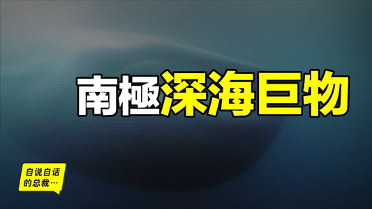 水下2300米發現未知魷魚，一步步破解懸案，我們發現了南極深海巨物的秘密……|自說自話的總裁