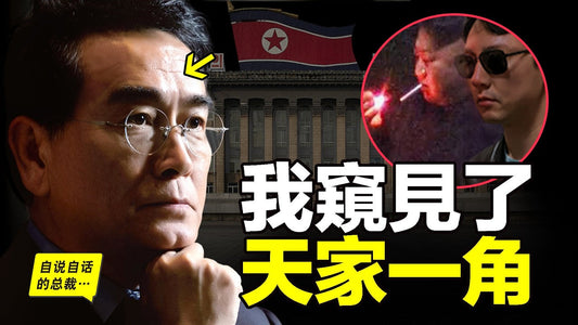 2015年，一位朝鮮外交官接到密令，於是他在英國展開了一場行動，他謹小慎微、如履薄冰，最後卻還是因為窺見「天家」一角，而決定逃亡……|自說自話的總裁