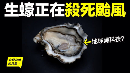 生蠔：渾身黑科技，還能殺颱風？根本就像前文明的黑科技……我們如今正在靠它拯救地球……|自說自話的總裁
